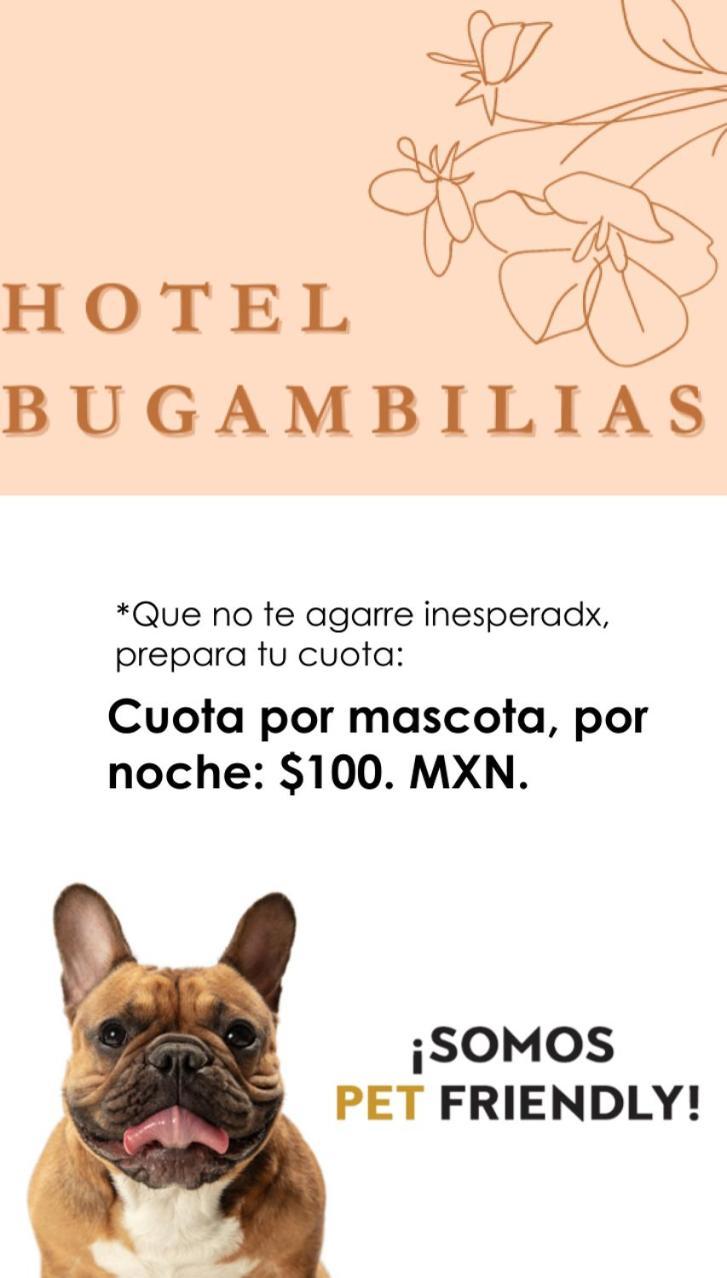Hotel Bugambilias Oaxaca Exterior foto